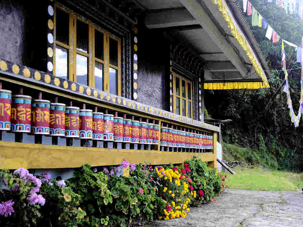 PADAMCHEN