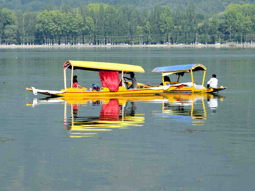 HONEYMOON AT KASHMIR