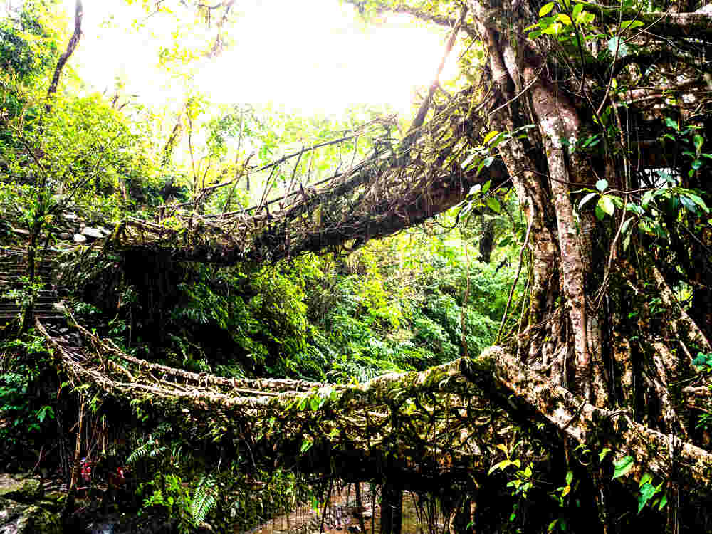 MAGICAL MEGHALAYA